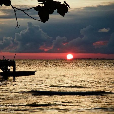 Moyo Island Beach Resort Buitenkant foto